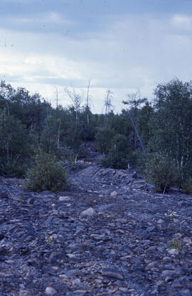 Photograph of a denuded hilltop at the Richard Lake site, near Sudbury, Ontario