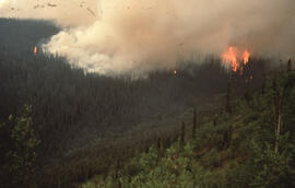 Aerial photograph of an active forest fire near Dawson City, Yukon Territory