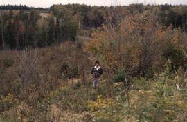 Photograph of Bill Freedman standing in a Riverside plot with some swamp thistle (Cirsium muticum...