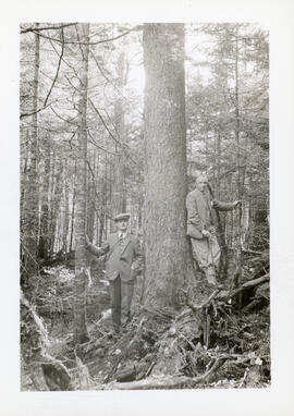 Photograph of Wishart Robertson and an unidentified person posing next to a large hardwood, Porte...