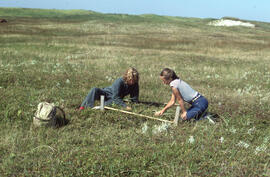 Photograph of Zoe Lucas and Noreen Stadey constructing a small enclosure on Sable Island