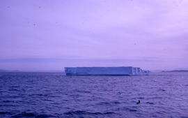 Photograph of an iceberg off the coast of Newfoundland and Labrador