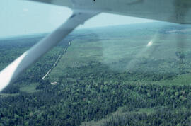 Aerial photograph of a spruce plantation near the Fundy National Park boundary, southern New Brun...
