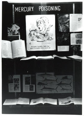 Photograph of display case exhibit on Mercury Poisoning