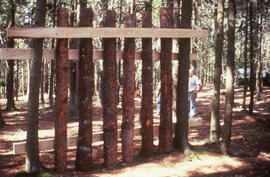 Photograph of a vertical trap log arrangement, Point Pleasant Park, Halifax, Nova Scotia