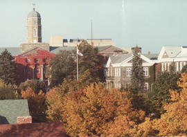 Photograph of Studley campus in the fall