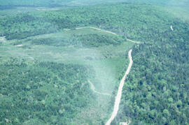 Aerial photograph showing the boundary between an Irving forest plantation and Fundy National Park