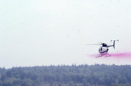 Photograph of a helicopter spraying Glyphosate at Brier Island, Nova Scotia