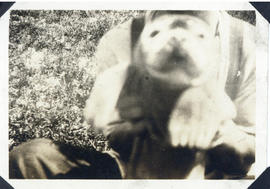 Photograph of a man holding a seal on Sable Island