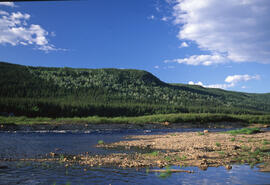 Photograph of a shallow portion of the Churchill River, Newfoundland and Labrador