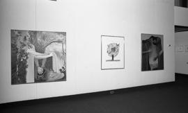 Photograph of an installation by Carol Fraser