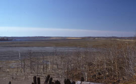 Photograph of an active tailings pond at Copper Cliff, near Sudbury, Ontario