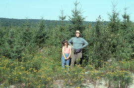 Photograph of Ruth Waldick and Rachael (?) standing in a spruce plantation, Greater Fundy Ecosyst...