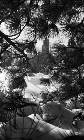 Photograph of the Henry Hicks Academic Administration Building seen through snowy branches