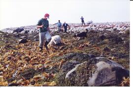 Photograph of a group of people with a sheep and a dog on Gull Island, in Wedgeport, Nova Scotia