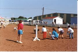 Photograph of the sheep calling contest during the Pictou County Exhibition Sheep Day, in August ...