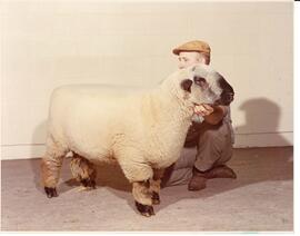 Photograph of a man holding a Hampshire sheep