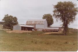 Photograph of what is likely a barn during the Sheep Breeders' Association of Nova Scotia's field...