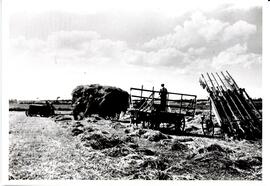 Nova Scotia Agricultural College haying on the marsh photograph