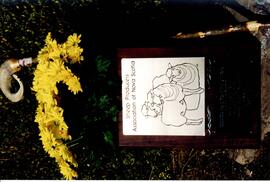Photograph of a plaque and yellow flowers during the Purebred Sheep Breeders' Association tour to...