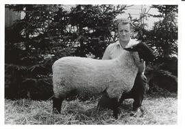 Photograph of Ernie Maynard holding a sheep between 1960 and 1979
