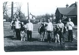 Photograph of five students holding dairy cattle at the 1944 Winter Show at the Nova Scotia Agric...