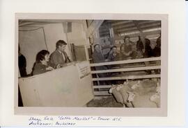 Photograph of the sheep sale "Cattle Market" in Truro, Nova Scotia, with Berkelaar as the auctioneer