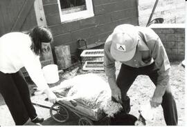 Photograph of two people butchering a lamb